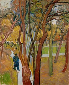 De tuin van het Sint-Paulusziekenhuis De val van de bladeren, 1889 door Vincent van Gogh