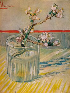 Bloeiende amandeltak, 1888