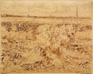 Tarweveld met korenbundel