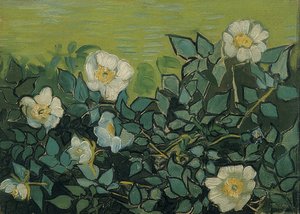 Wilde rozen