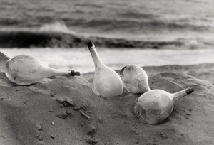 "Flessen op het strand door Vincenzo Balocchi