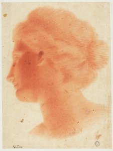 Hoofd van Venus de Medici door Vincenzo Dandini