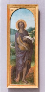 Sint Jan de Doper door Vincenzo Foppa