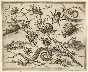 Groep insecten en reptielen op een vlakke ondergrond met rotsen, inclusief een leguaan, een hagedis, 1557