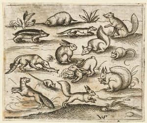 Groep kleine bosdieren die eten en rond een vijver rennen, inclusief een muis