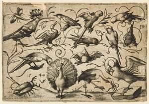 Tien vogels op kleine loofranken met een ooievaar die een rank om het been van een pelikaan bindt..., 1540