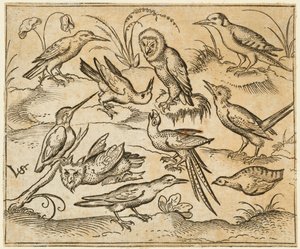 Tien vogels zittend op takken en grasplukken, inclusief twee uilen en een vogel, 1557 door Virgil Solis
