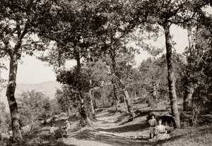 Wandeling door het bos door Vittorio Alinari