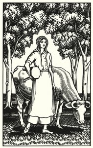 Illustratie voor Tess Of The D