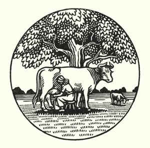 Illustratie voor Tess Of The D