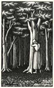 Illustratie voor Tess Of The D