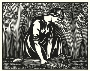 Illustratie voor Tess Of The D