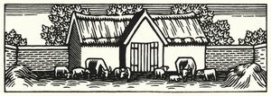 Illustratie voor Tess Of The D’Urbervilles door Thomas Hardy