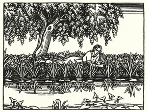 Illustratie voor Tess Of The D’Urbervilles door Thomas Hardy