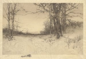 Midden in de Winter