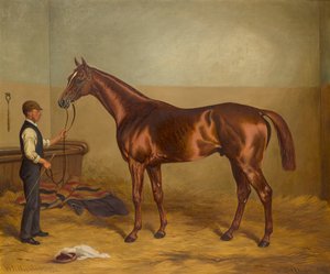 Sir Hugo als driejarige vastgehouden door een stalknecht, ca. 1875-92 door W.H. Hopkins