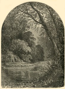 Moss Islands, in de Juniata, 1874