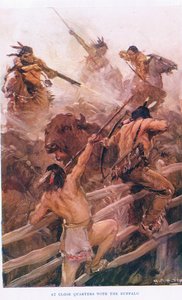 Van dichtbij met de buffel, illustratie uit 
