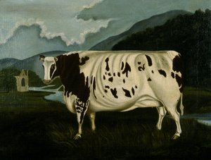 De Beroemde Craven Heifer door W. D. Fryer