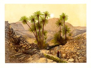 De woestijn van Sinaï, Egypte door W. Dickens
