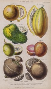 Mammee; Papaja; Zure Sop; Negro Perzik; Granadilla; Zabucajo (het deksel opgeheven) Fruit en Noten; Braziliaanse Noot en Fruit (gekleurde gravure)