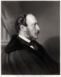 ZKH Prins Albert door W. Holl