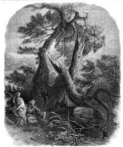 Voorbeeld van houtgravure, De dood van de kinderen van Niobe, 1844