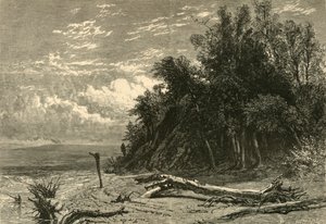 De oever bij Lake Forest, 1874 door W. J. Linton