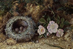 Vogelnest en hondsrozen