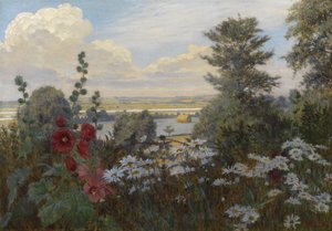 De Vallei van de Crouch