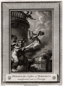 Perdix, de neef van Daedalus, veranderd in een patrijs, 1774 door W. Walker