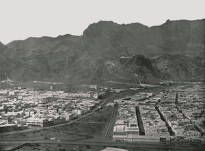 Algemeen overzicht van de kamelenmarkt, Aden, 1895