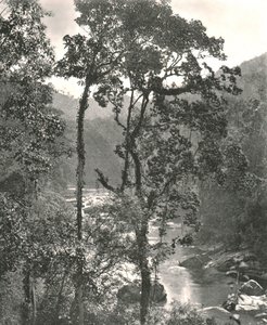 Uitzicht op de Kelani-rivier, Kurunegala, Ceylon, 1895 door W and S Ltd