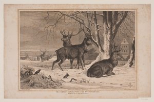 Van de Hermitagevlakte op een winterdag door Waldemar Bøhme