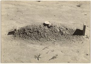 Een doopsgezind graf, Hale County, Alabama door Walker Evans