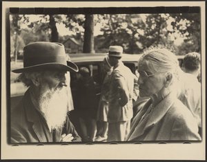 Onafhankelijkheidsdag, Terra Alta, West Virginia door Walker Evans