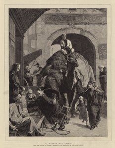 Een smalle weg, Caïro