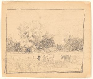 Landschap