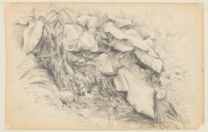Studie van gras en planten door Walter Clark