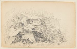 Studie van gras en planten door Walter Clark