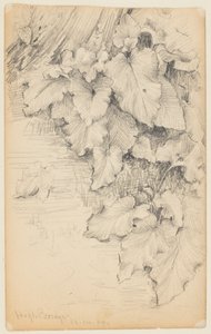 Studie van planten aan de waterkant, High Bridge door Walter Clark