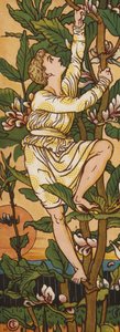 Jaap en de bonenstaak (kleur litho) door Walter Crane