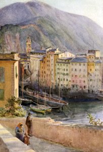 Haven, Camogli