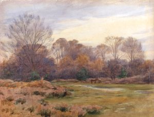Op de Christchurch Road door Walter Frederick Roofe Tyndale