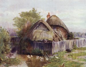 Het New Forest: Een huisje in Bartley