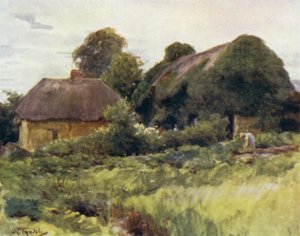 Het New Forest: Een huisje in Sway