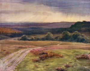 Het New Forest: Boldrewood Walk, Puck Pitts, vanaf de Fritham Road door Walter Frederick Roofe Tyndale