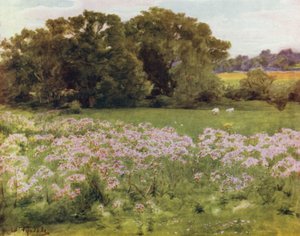 Het Nieuwe Woud: Riversdale, Boldre