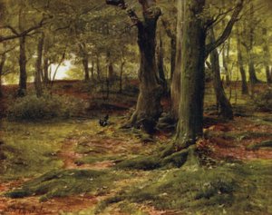 Het Nieuwe Woud: The Hill Woods, Lyndhurst door Walter Frederick Roofe Tyndale