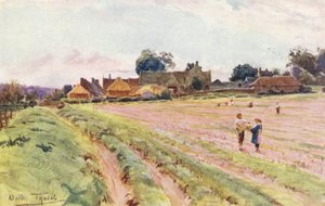 Wessex: Een Wessex boerderij door Walter Frederick Roofe Tyndale